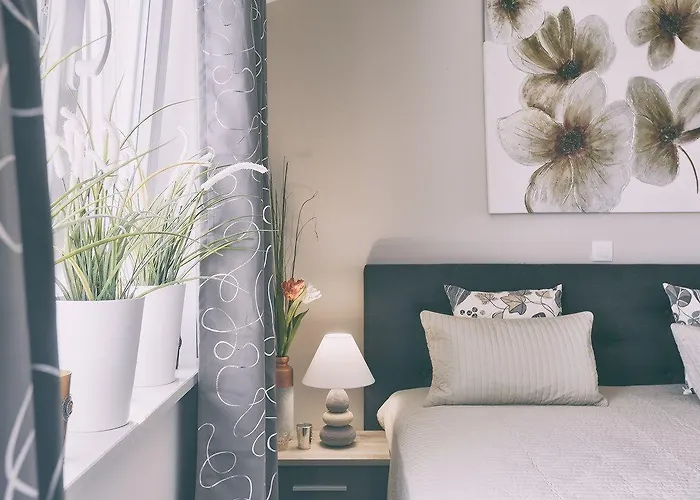 House Jadreski 풀라